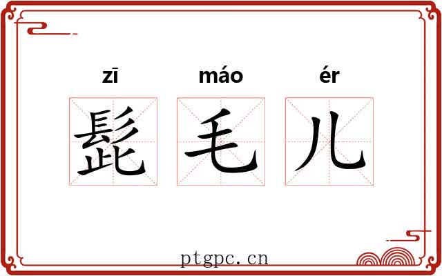 髭毛儿 髭毛儿