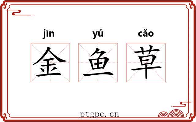 金鱼草 金鱼草