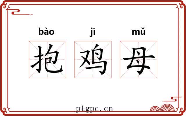 抱鸡母 抱鸡母