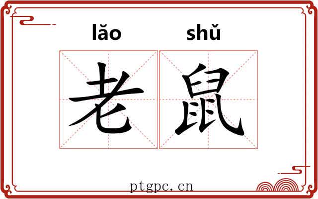 老鼠 老鼠