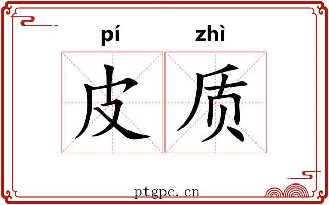 皮质
