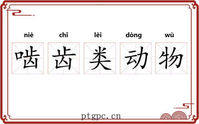啮齿类动物 啮齿类动物