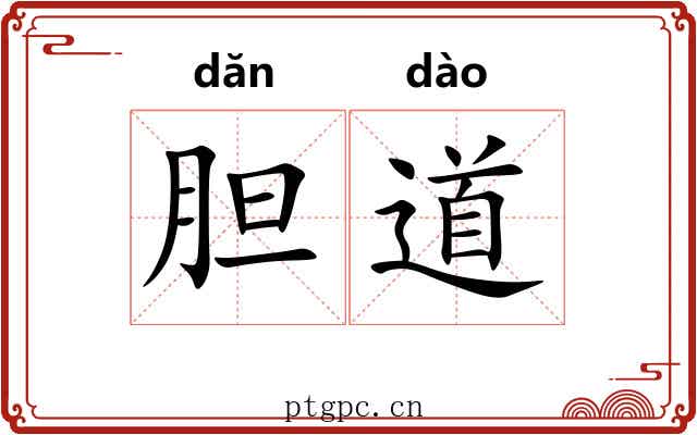 胆道
