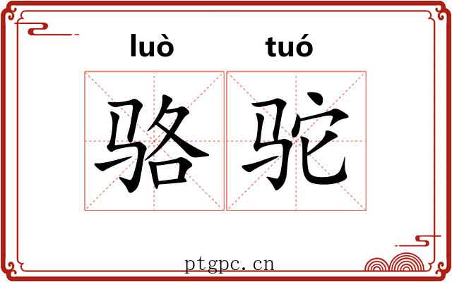 骆驼 骆驼