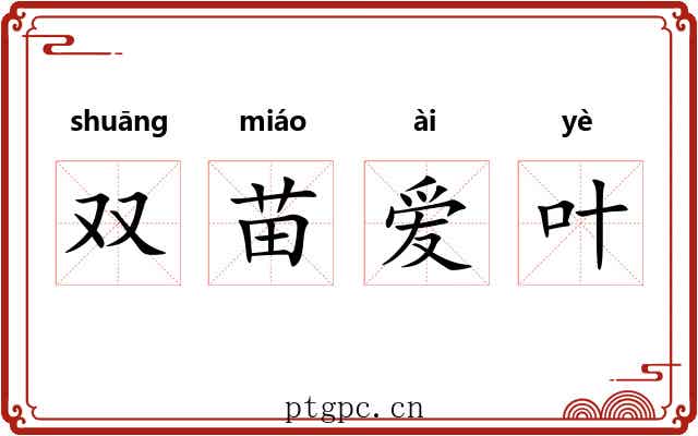 双苗爱叶 双苗爱叶