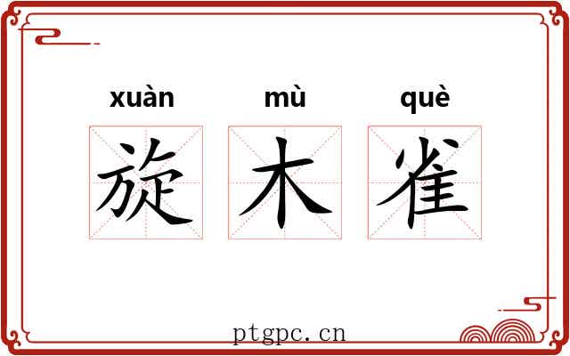 旋木雀