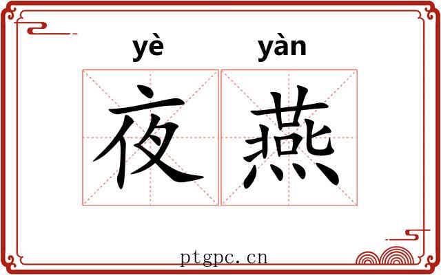 夜燕 夜燕