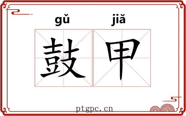 鼓甲 鼓甲