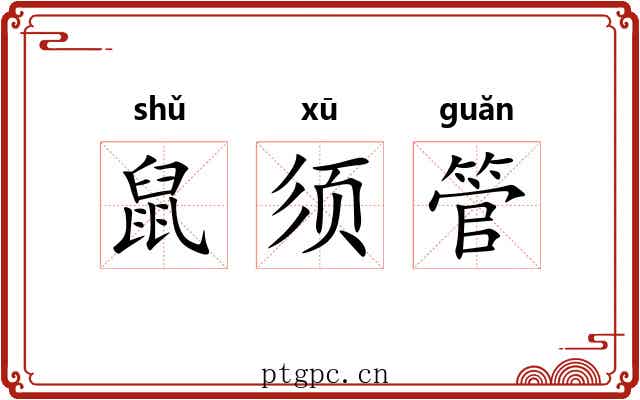 鼠须管