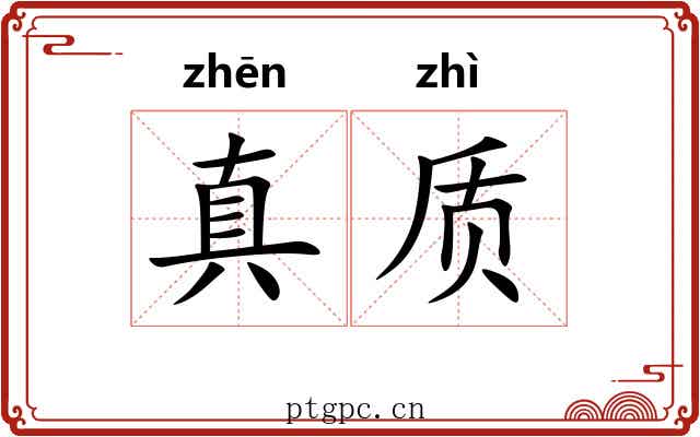 真质
