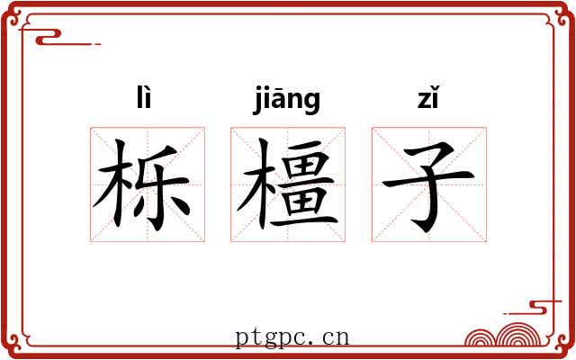 栎橿子 栎橿子