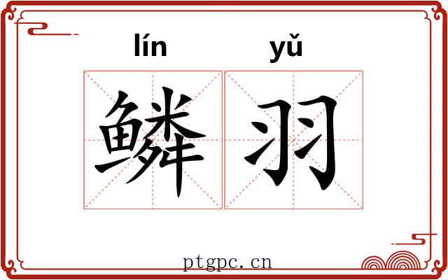 鳞羽 鳞羽