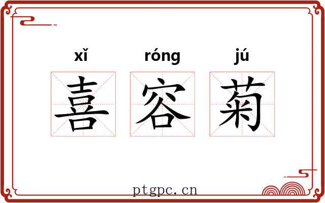 喜容菊 喜容菊