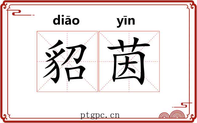 貂茵