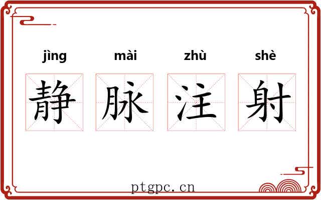 静脉注射 静脉注射