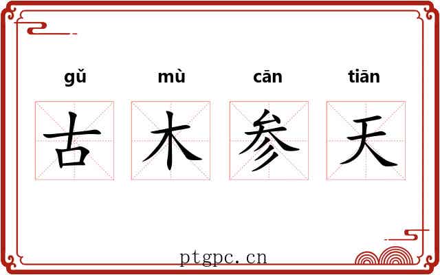 古木参天 古木参天