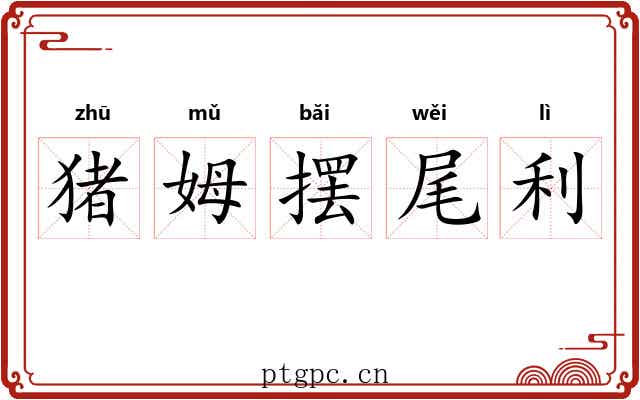 猪姆摆尾利 猪姆摆尾利