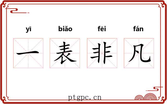 一表非凡 一表非凡