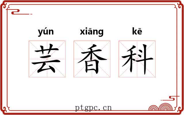 芸香科 芸香科