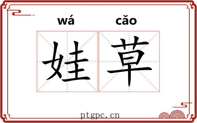 娃草 娃草