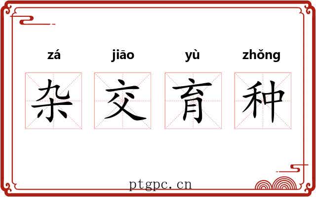 杂交育种 杂交育种