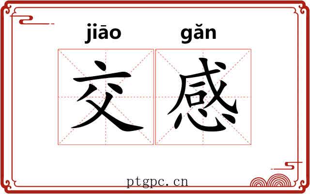 交感 交感