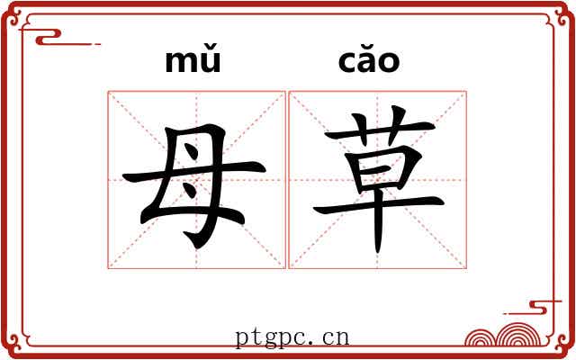 母草 母草