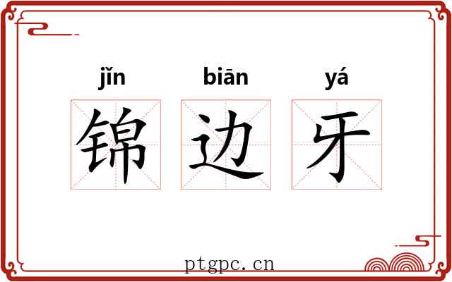 锦边牙