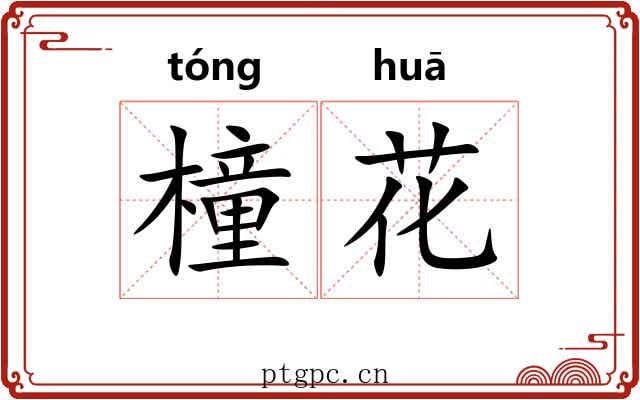 橦花 橦花