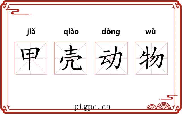 甲壳动物 甲壳动物