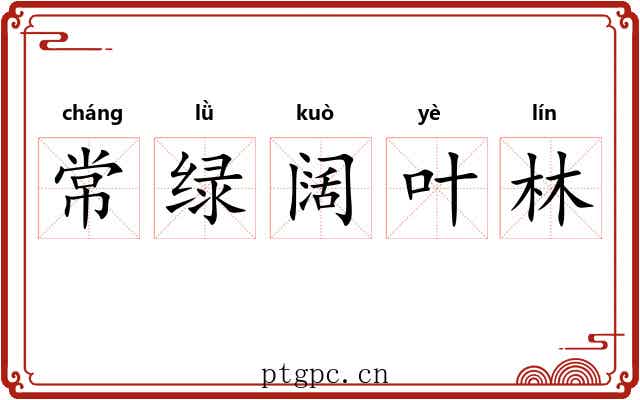 常绿阔叶林 常绿阔叶林