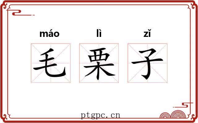 毛栗子 毛栗子