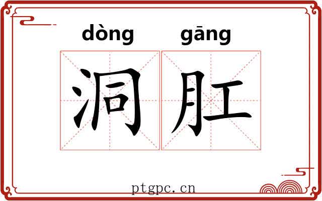 洞肛