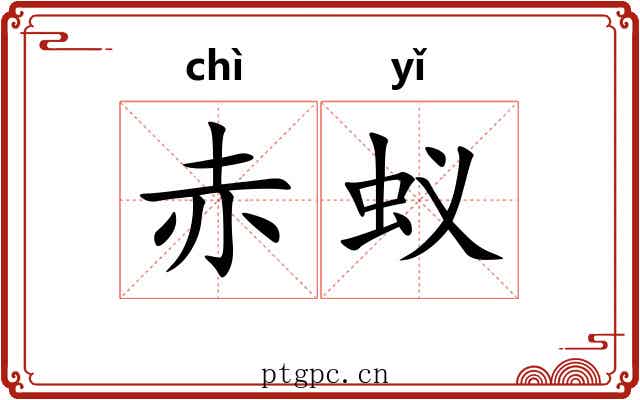 赤蚁