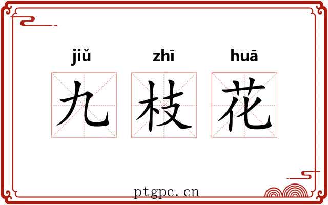 九枝花