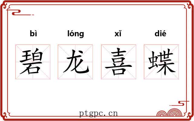 碧龙喜蝶 碧龙喜蝶