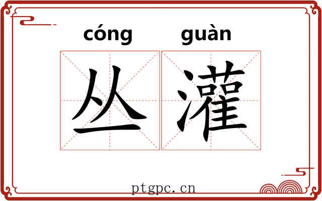 丛灌