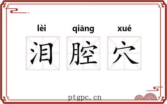 泪腔穴 泪腔穴