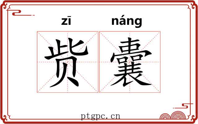 赀囊