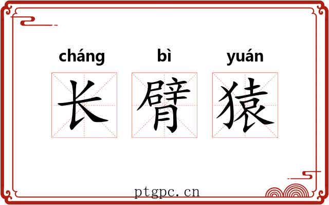 长臂猿 长臂猿