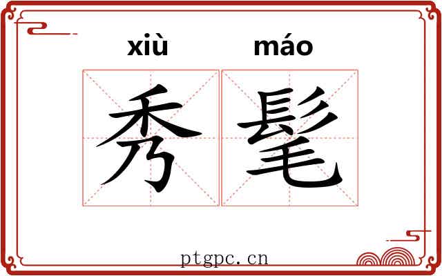 秀髦 秀髦