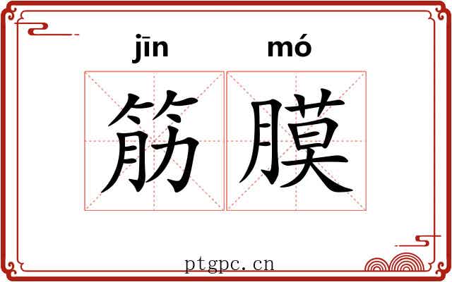 筋膜