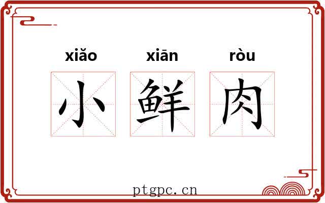 小鲜肉