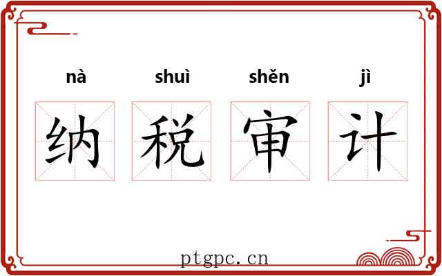 纳税审计 纳税审计