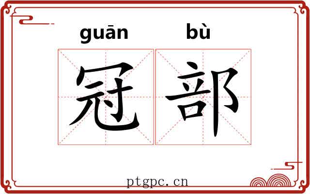 冠部 冠部