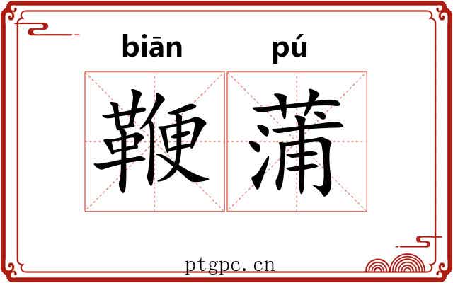 鞭蒲