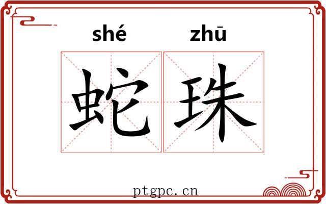 蛇珠 蛇珠