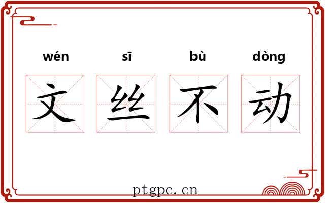 文丝不动