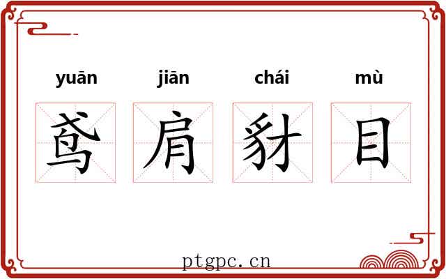 鸢肩豺目