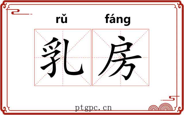 乳房 乳房